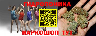 стафф Камышлов