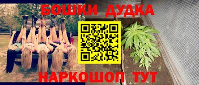 стафф Камышлов