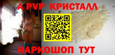 стафф Камышлов