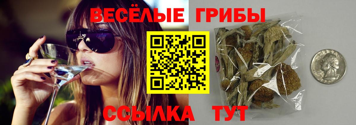 Галлюциногенные грибы MAGIC MUSHROOMS  Вход с VPN  Вичуга 