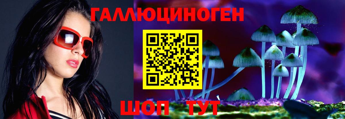 Псилоцибиновые грибы Psilocybine cubensis Вичуга